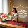 Christmas Squishies Advent Calendar